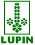 Lupin